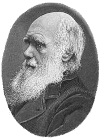 Darwin