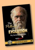 The Pillars of Evolution